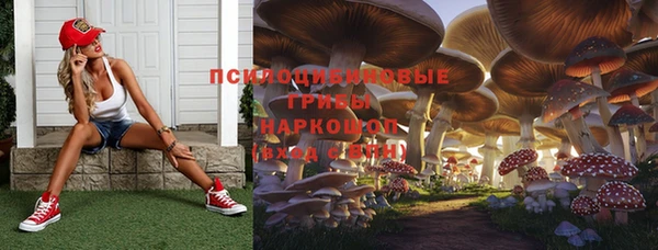 гидропоника Балабаново